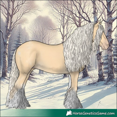 Horse Color:White Spotted Gold Cream Champagne 