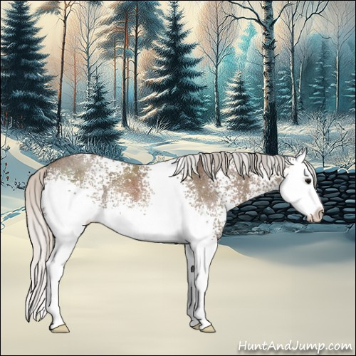 Horse Color:White Spotted Silver Black Splash Rabicano 