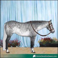 Horse Color:Silver Brown Chinchilla Tobiano 