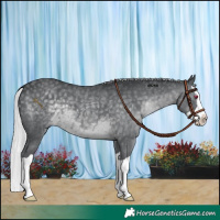 Horse Color:Silver Black Chinchilla Splash 
