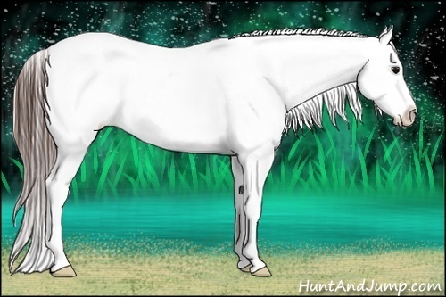 Horse Color:Brown Frame Blanket Rabicano