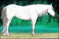 Horse Color:Brown Frame Blanket Rabicano 