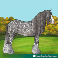 Horse Color:Grullo Splash Snowflake Varnish 