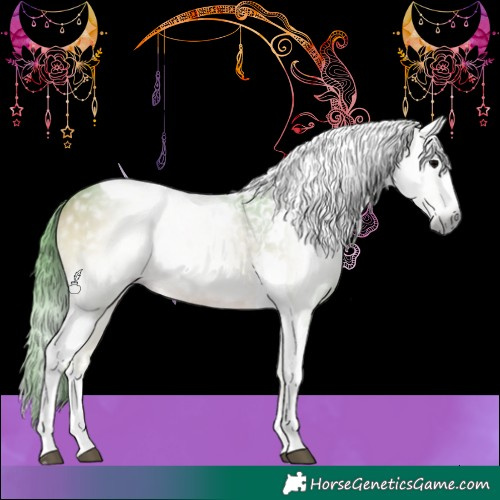 Horse Color:Gray Watercolor Brown Onyx Splash Tobiano