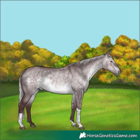 Horse Color:Chocolate Silver Brown Chinchilla Dun Tobiano 