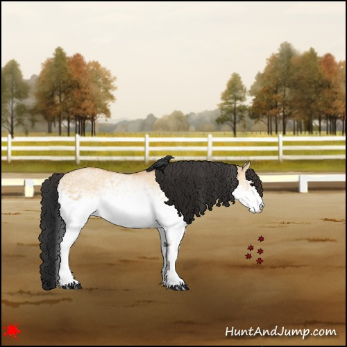 Horse Color:White Spotted Bay Dun 