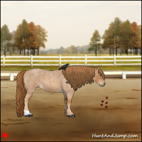 Horse Color:Red Roan 