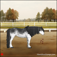 Horse Color:White Spotted Black