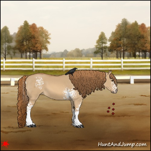 Horse Color:White Spotted Red Dun