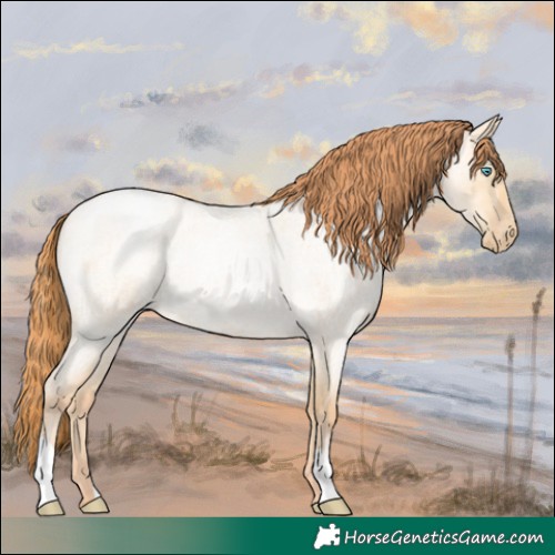 Horse Color:Buckskin Roan Pearl Dun 