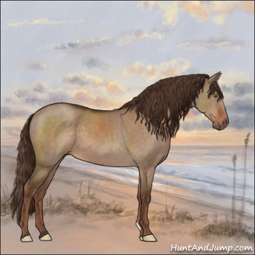 Horse Color:Liver Red Dun 