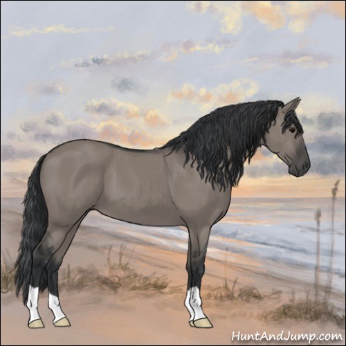 Horse Color:Grullo