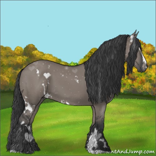 Horse Color:White Spotted Grullo Sabino 