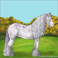 Horse Color:Watercolor Classic Champagne Sabino 