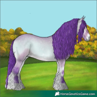 Horse Color:Watercolor Bay Onyx 