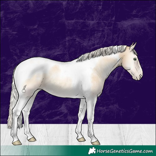 Horse Color:Silver Smoky Blue Onyx Pearl Tobiano