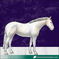 Horse Color:Silver Smoky Blue Onyx Pearl Tobiano 
