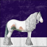 Horse Color:Watercolor Blue Onyx Splash Tobiano 