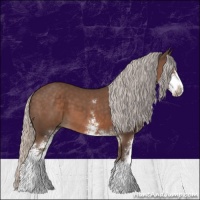 Horse Color:Silver Black Sabino 