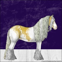 Horse Color:Watercolor White Spotted Silver Bay 