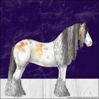 Horse Color:White Spotted Buckskin Ice Onyx 