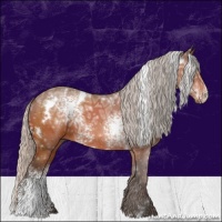 Horse Color:White Spotted Silver Bay Ice 