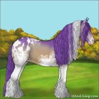 Horse Color:Watercolor White Spotted Bay Mushroom Appaloosa 