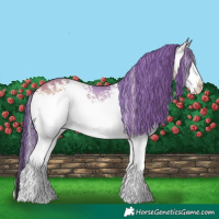 Horse Color:Watercolor White Spotted Bay Onyx Varnish Rabicano 