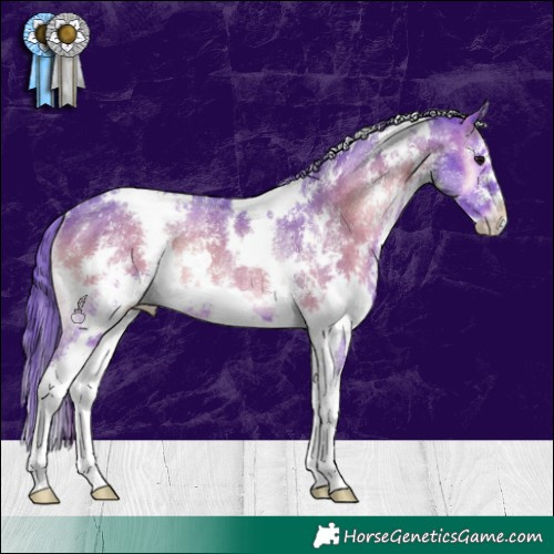 Horse Color:Watercolor White Spotted Blue Onyx Sabino Rabicano