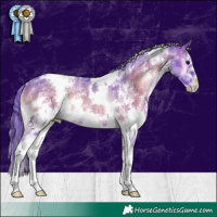 Horse Color:Watercolor White Spotted Blue Onyx Sabino Rabicano