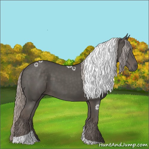 Horse Color:Silver Black Tobiano 