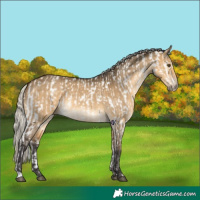 Horse Color:Silver Buckskin Dun Near Leopard  and Silver Buckskin Dun 
