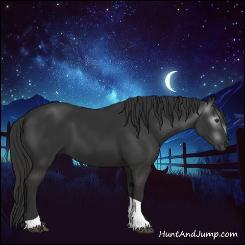 Horse Color:Gray Liver Chestnut Tobiano 