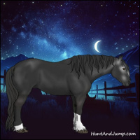 Horse Color:Gray Liver Chestnut Tobiano