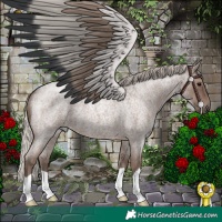 Horse Color:Silver Blue Roan 