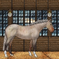 Horse Color:Silver Brown Roan Dun 