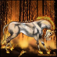Horse Color:Gray Silver Sable Champagne Pearl Dun Tobiano
