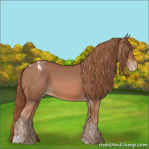 Horse Color:Chestnut Tobiano Appaloosa 