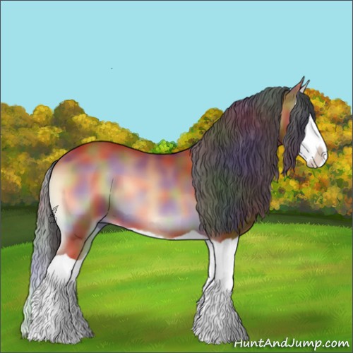 Horse Color:Nacre Bay Onyx Splash