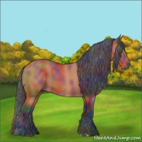 Horse Color:Nacre Bay 