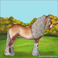 Horse Color:Silver Bay Onyx Tobiano