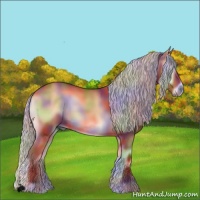 Horse Color:Void Nacre Silver Bay Onyx 