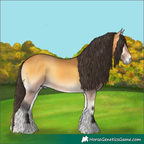 Horse Color:Buckskin Onyx 
