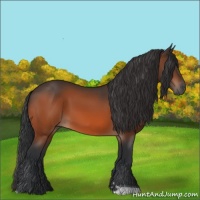 Horse Color:Bay Tobiano Rabicano 