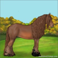 Horse Color:Void Chestnut Tobiano 