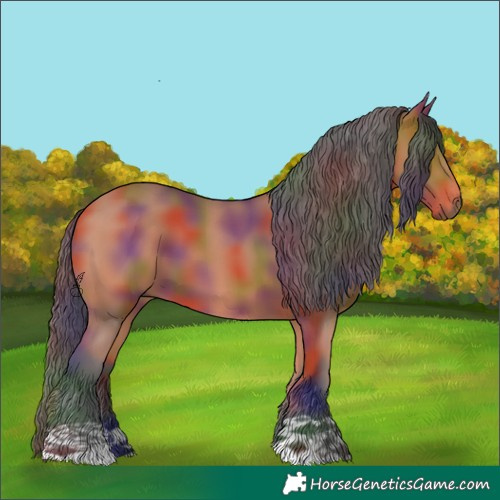 Horse Color:Nacre Bay 