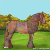 Horse Color:Nacre Chestnut 