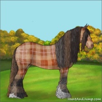 Horse Color:Plaid Bay Tobiano