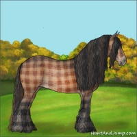 Horse Color:Plaid  Bay 