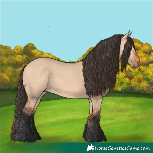 Horse Color:Bay Dun